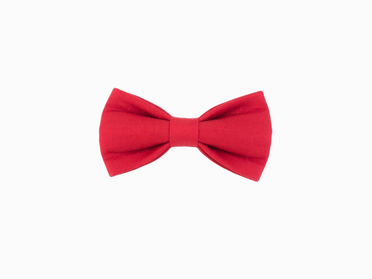 Бабочка-галстук "Korti"