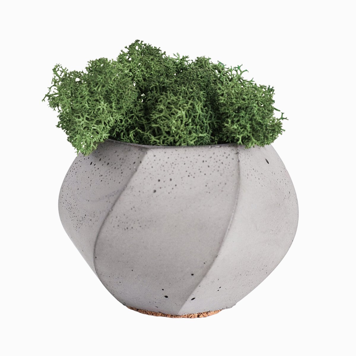 Мох плетеный "Риччи"